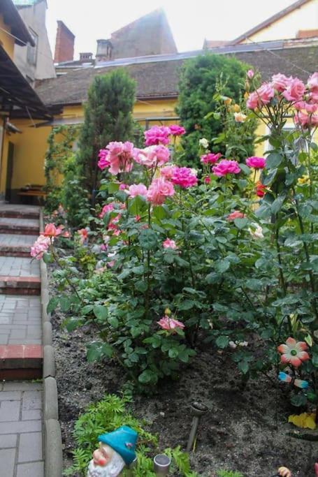 Color Home Hermannstadt 1 外观 照片